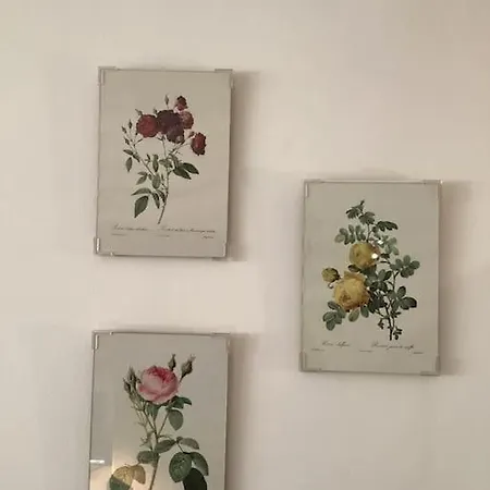 アパート Casa Balani